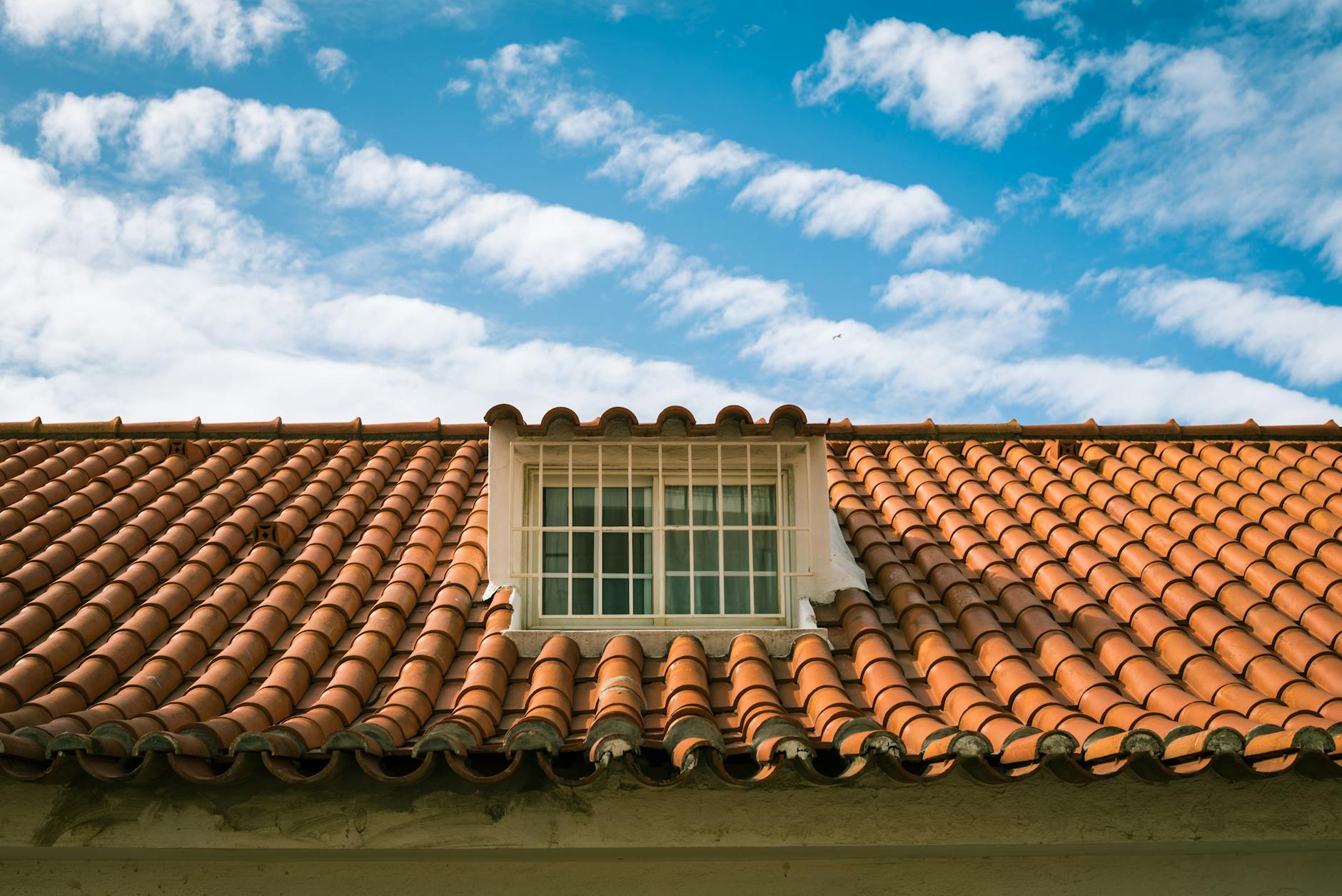 tile roof painting