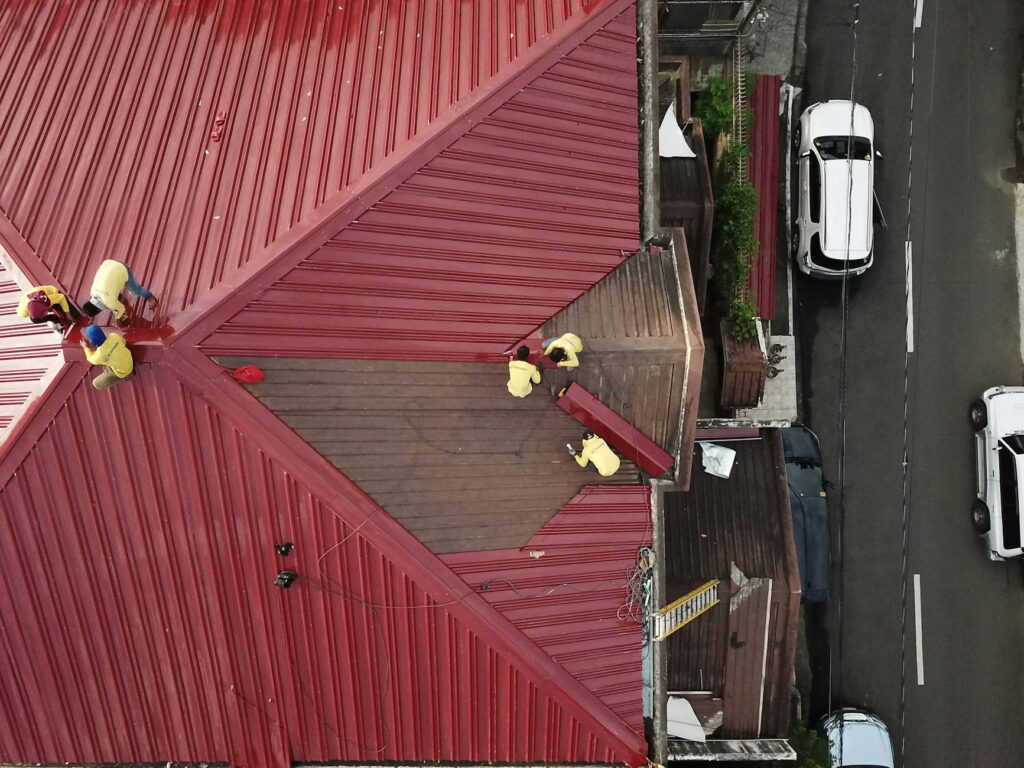 sydney roof painting