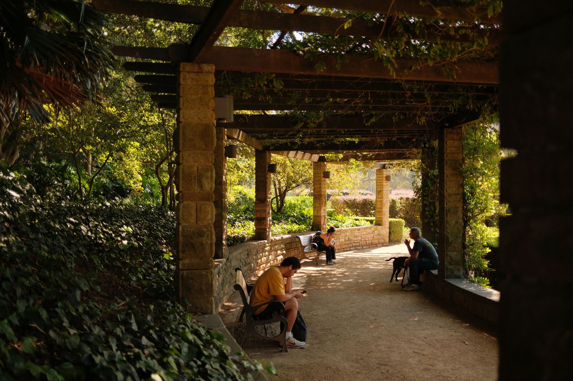 pergola cost australia